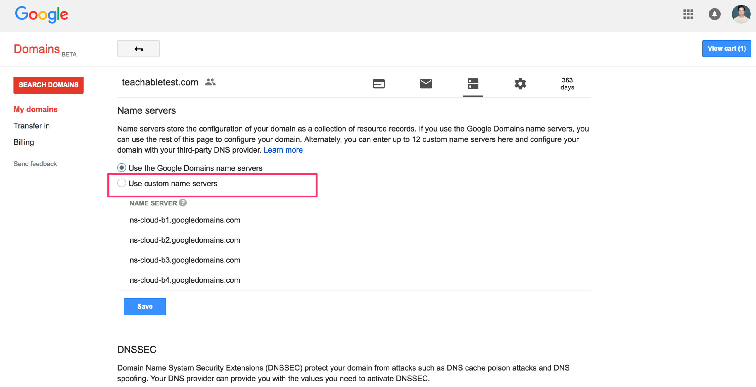 google_domains_custom_nameservers.png
