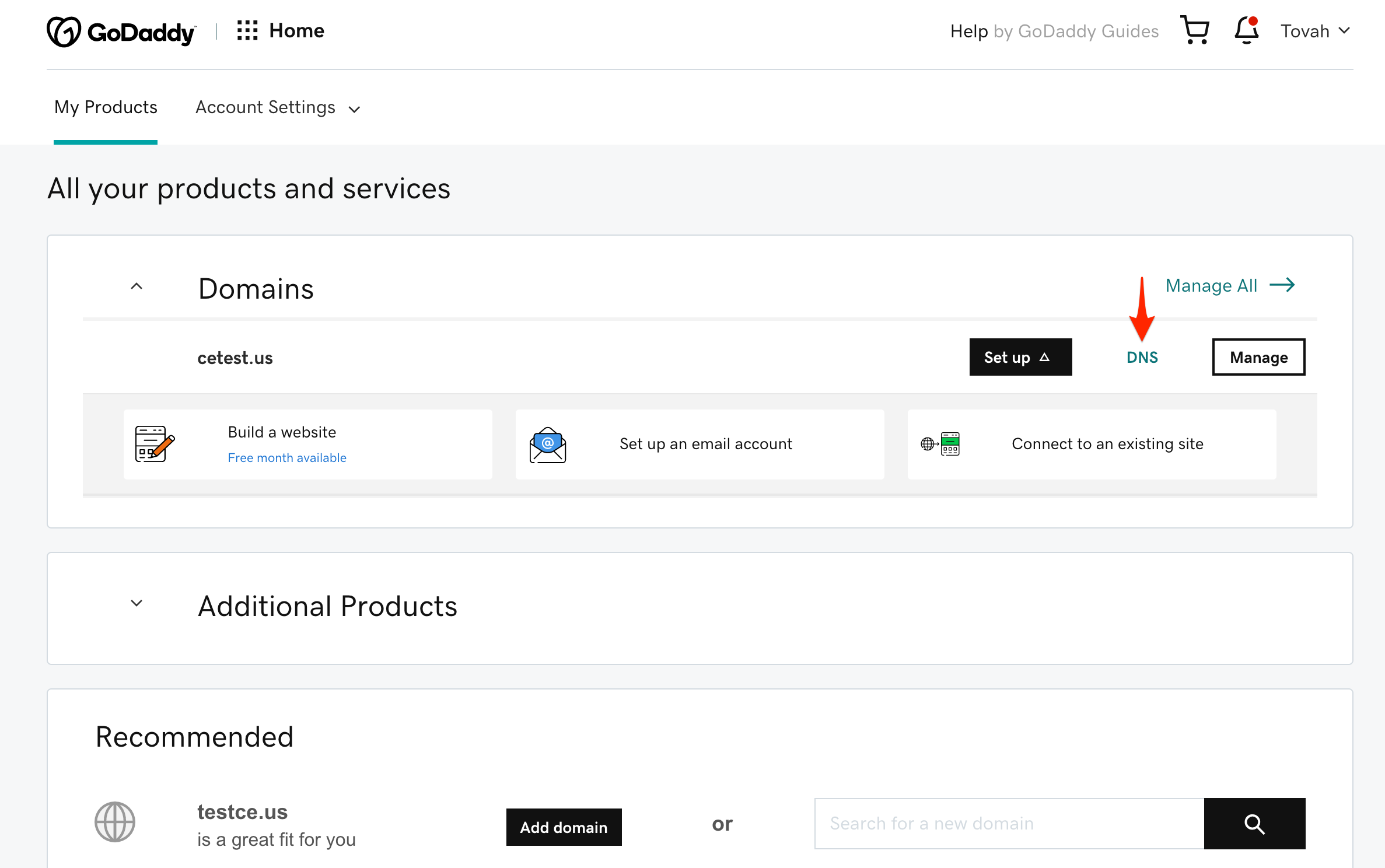 godaddy_dns.png