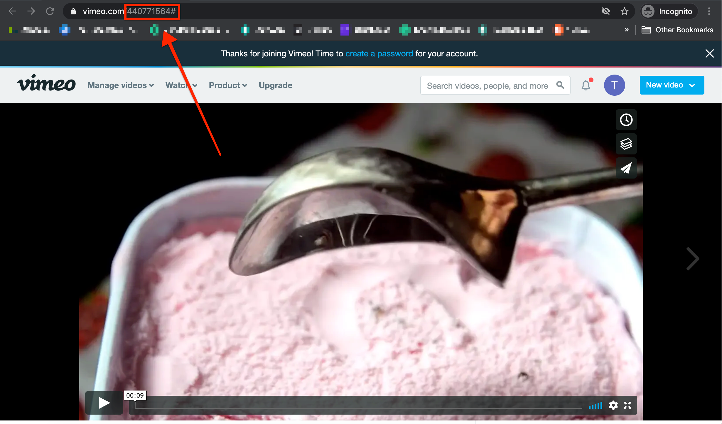 vimeourl.png