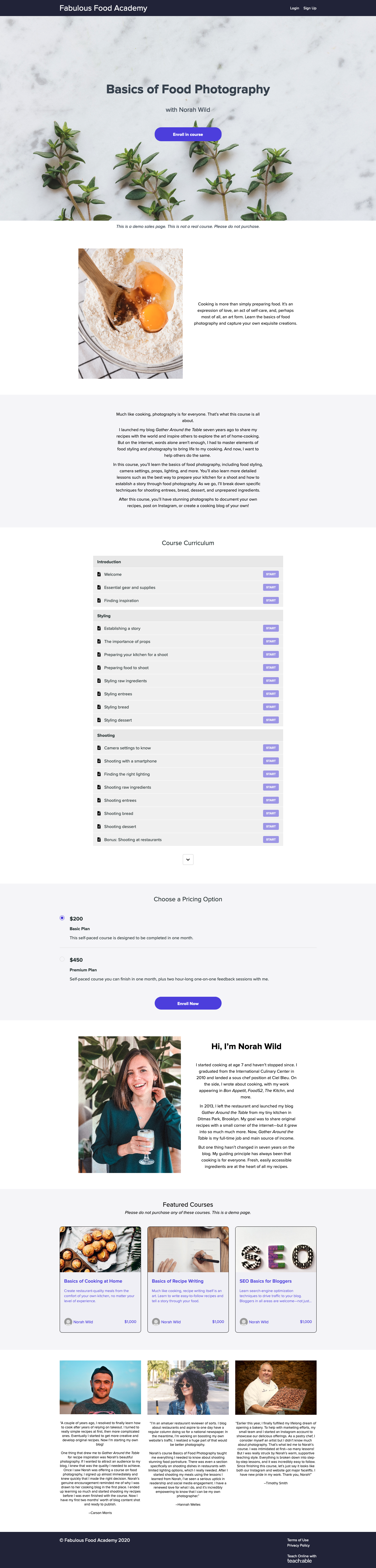 A completed sales page with several page blocks.