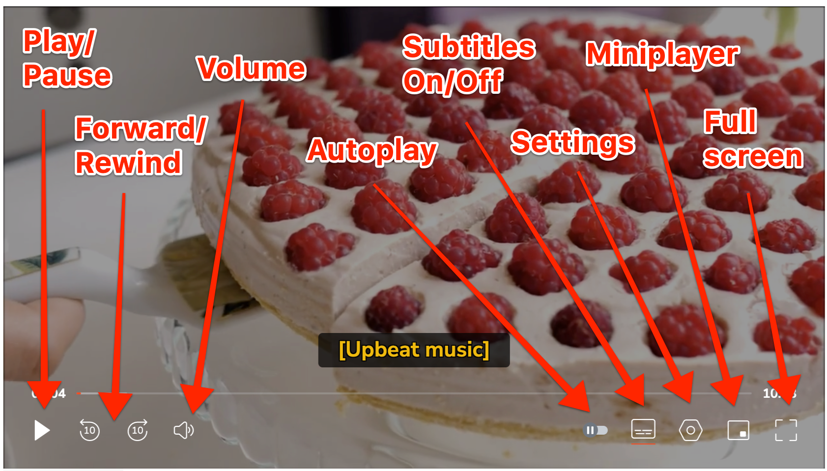 hmvp_player_functionality.png